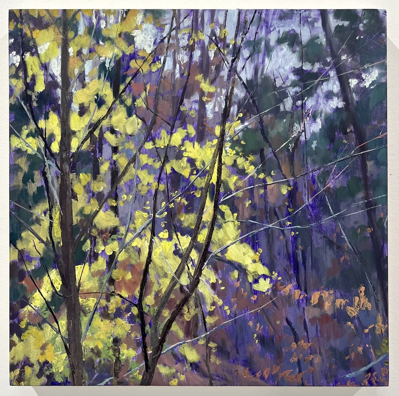 Late Fall , 2024 oil on linen on panel 10 × 10 in