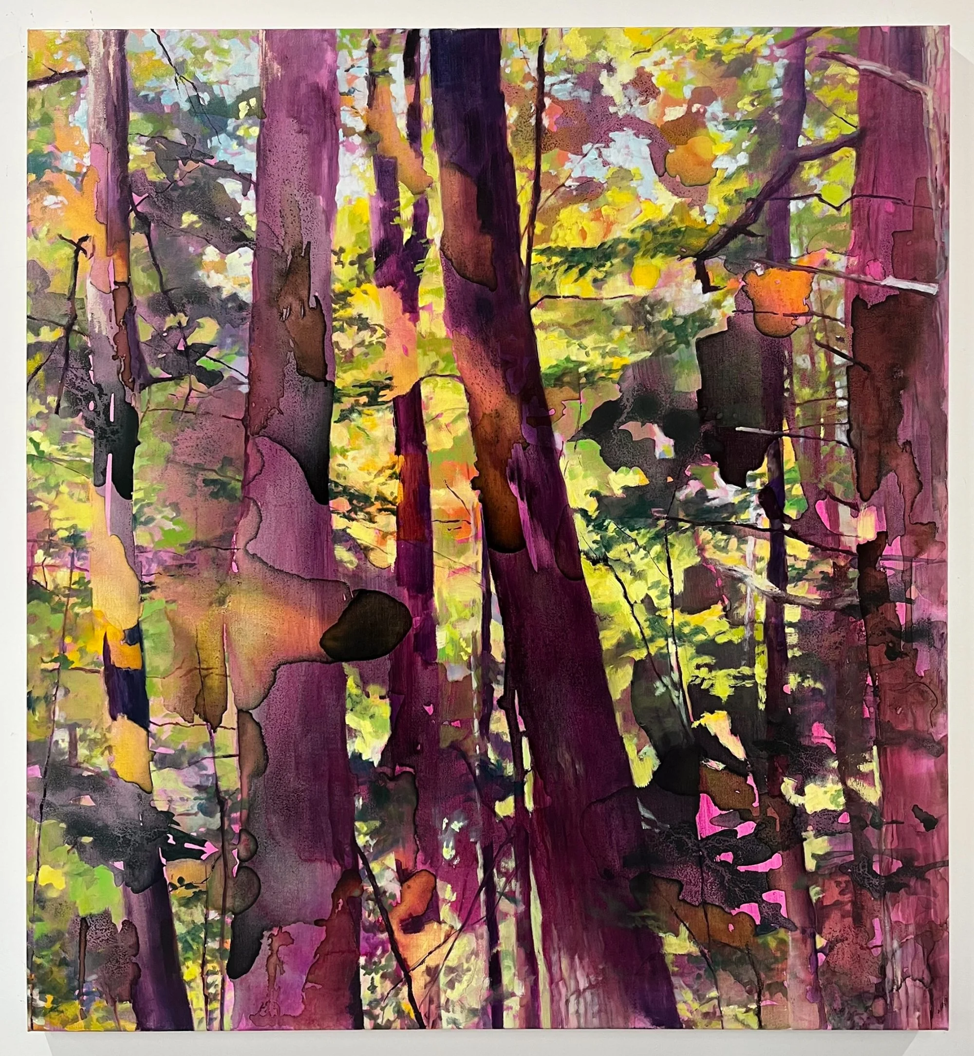   Hemlock Grove , 2025 Homemade hemlock, buckthorn, and walnut ink, synthetic inks, and oil on linen 48 × 44 in 