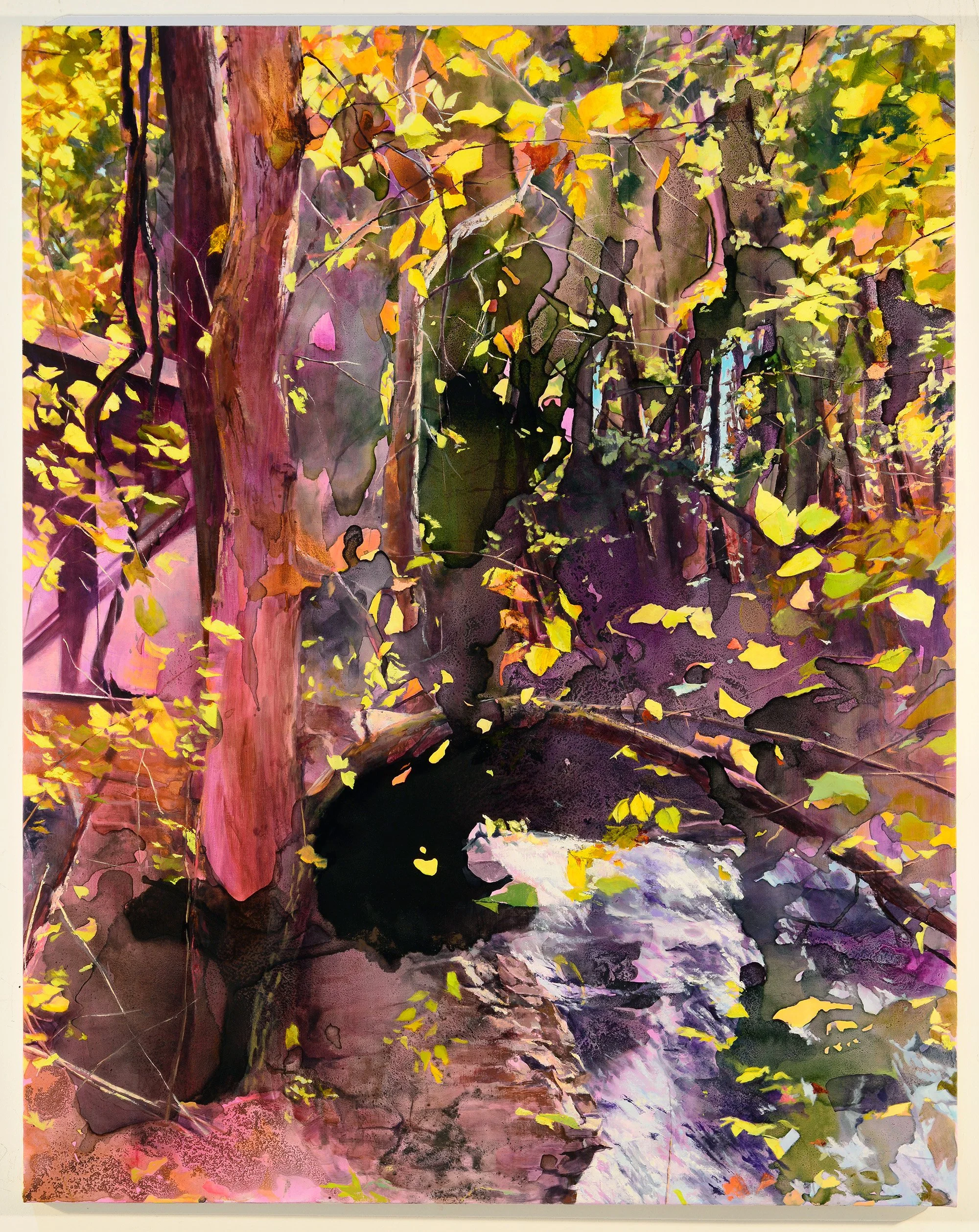   Flume Wall at the Wyants Kill , 2026 Homemade buckthorn, iron, Wyantskill blue stone, Poestenkill brick, and walnut inks, synthetic inks, and oil on linen 48 × 38 in 