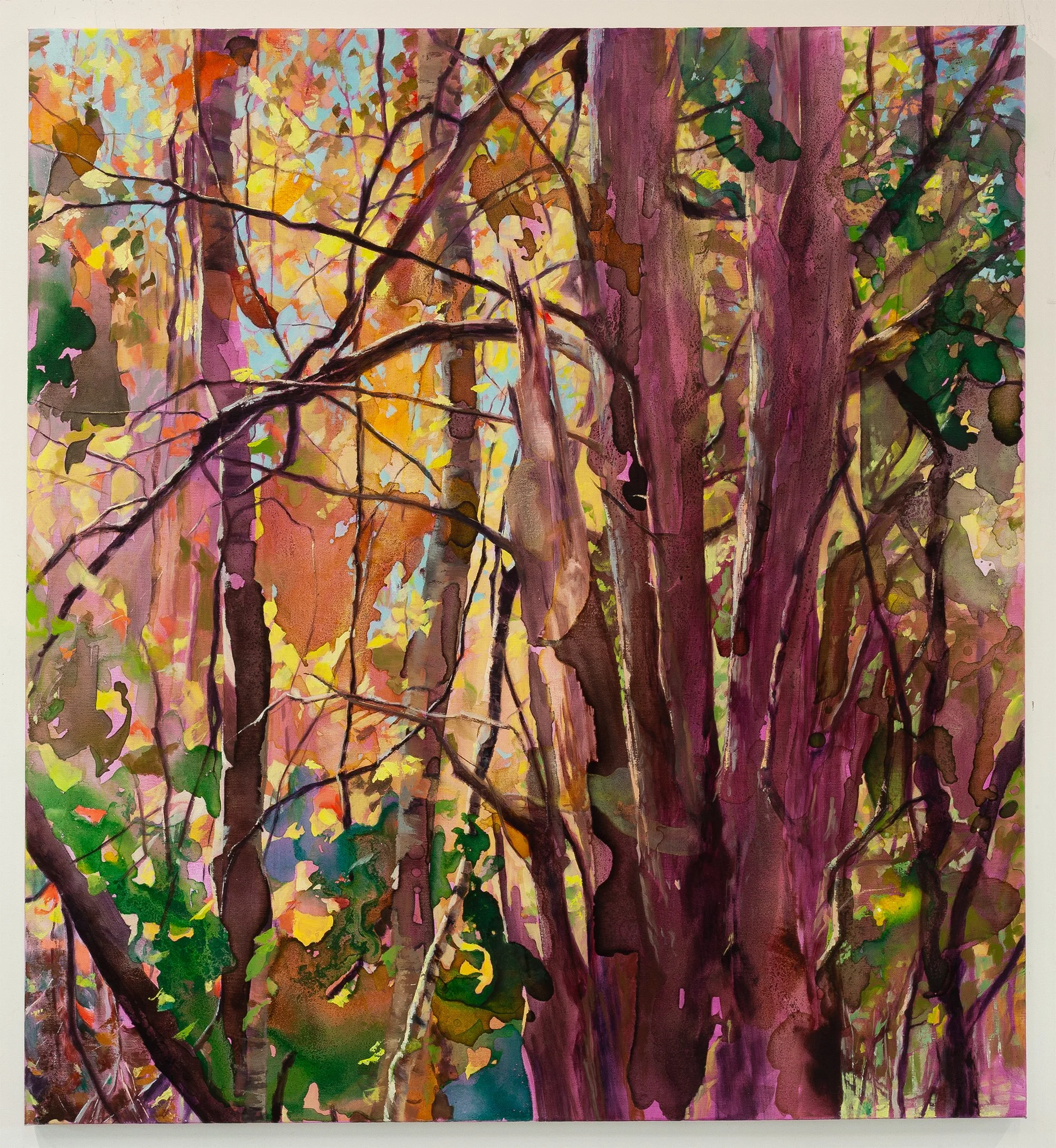   Barton Hill After the Quarry, Pioneer Cedar , 2026 Homemade cedar, birch, buckthorn, and walnut inks, synthetic inks, and oil on linen 48 × 44 