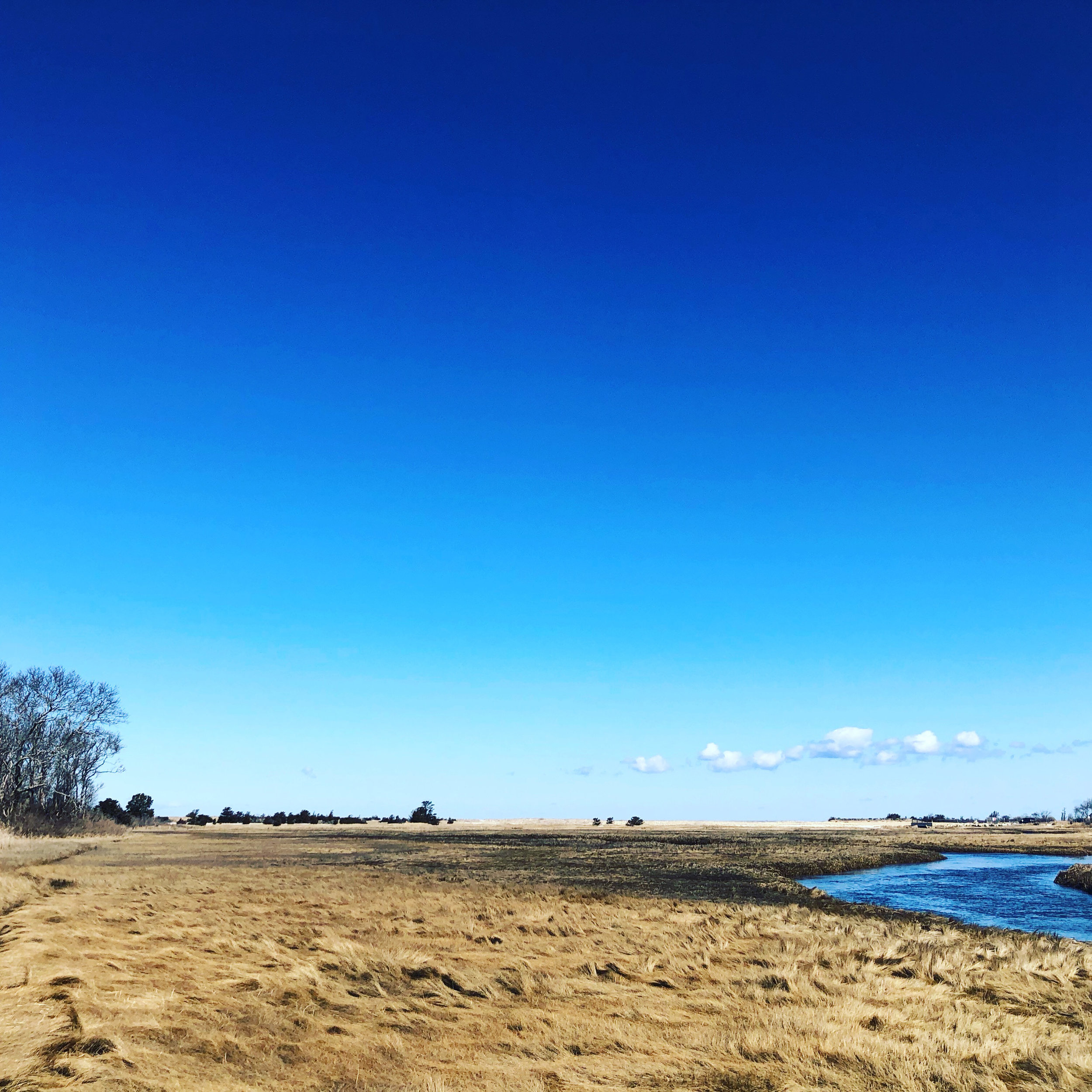 Winslows-Tavern-Wellfleet13.jpg