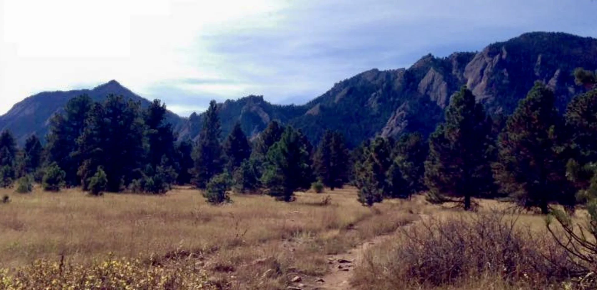 CSFC peaks banner.jpg