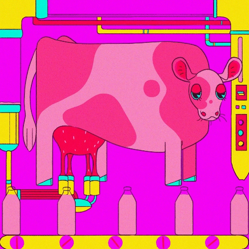pipe dreams