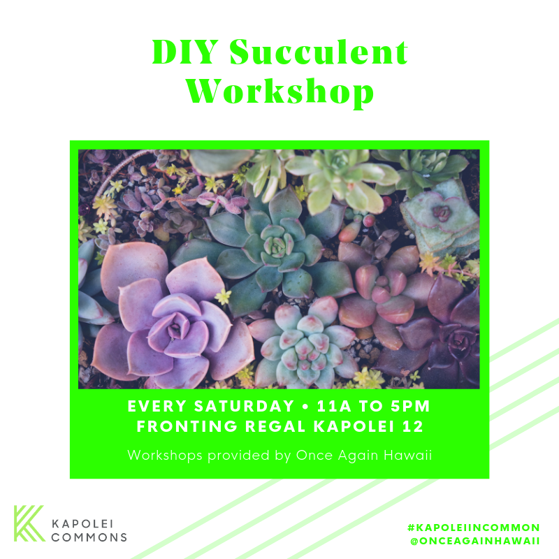 Weekly Succulent and Crystal Workshops