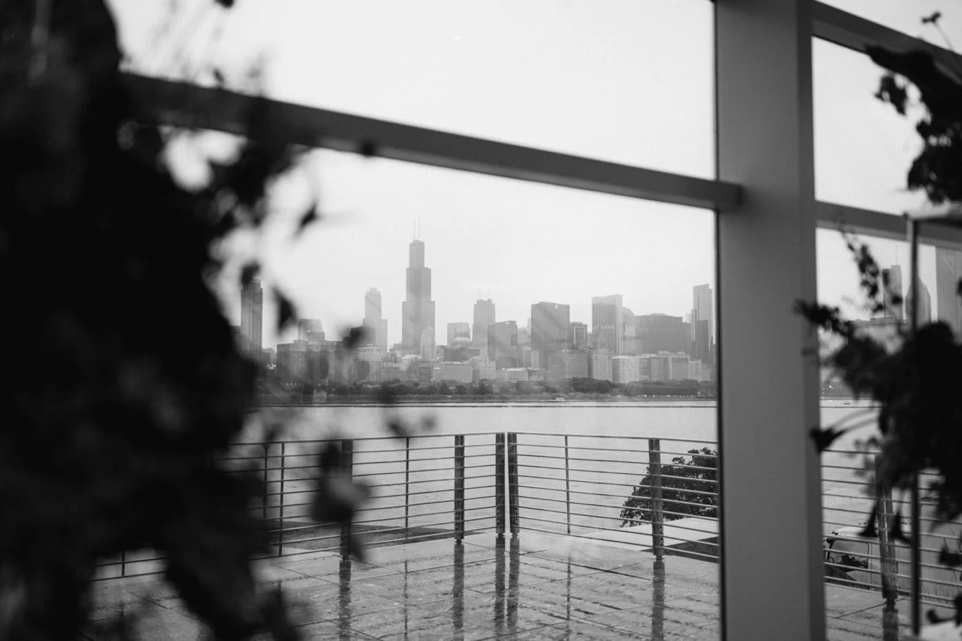 Fall wedding at Adler Planetarium