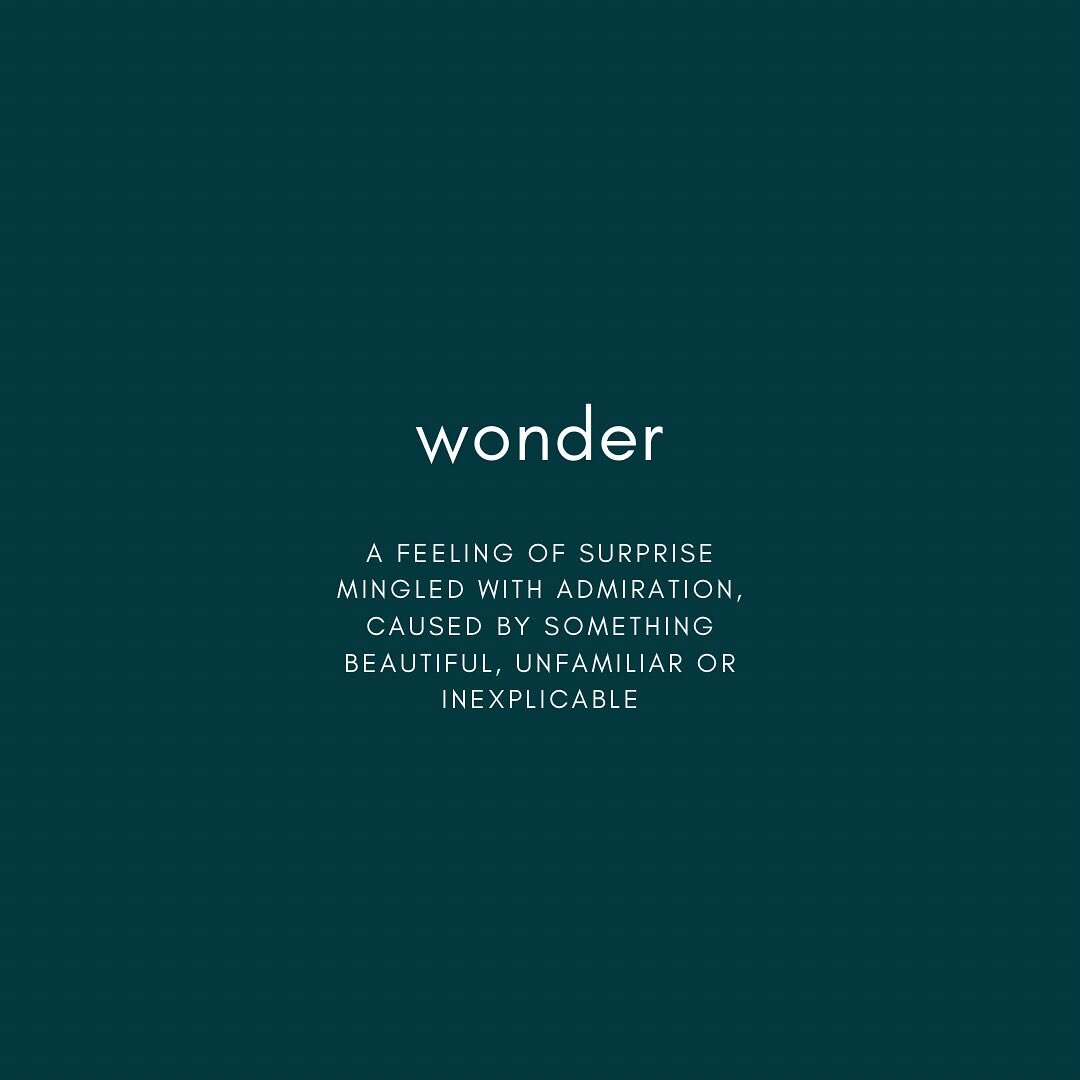 Every year a word arrives as a sort of guide for my upcoming growth and energetic alignment, and this year I am so stoked to announce the arrival of WONDER.

Last year I was given the word BRAVE, and my journey through the year&rsquo;s collective and