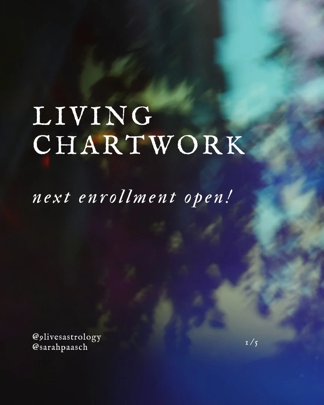 Next LCW-L1 enrollment is officially open ✨🥝✨ Our community is so excited to meet who&rsquo;s next 🫶🏼 ! Link in bio, dm with ?&rsquo;s 😘 

@9livesastrology