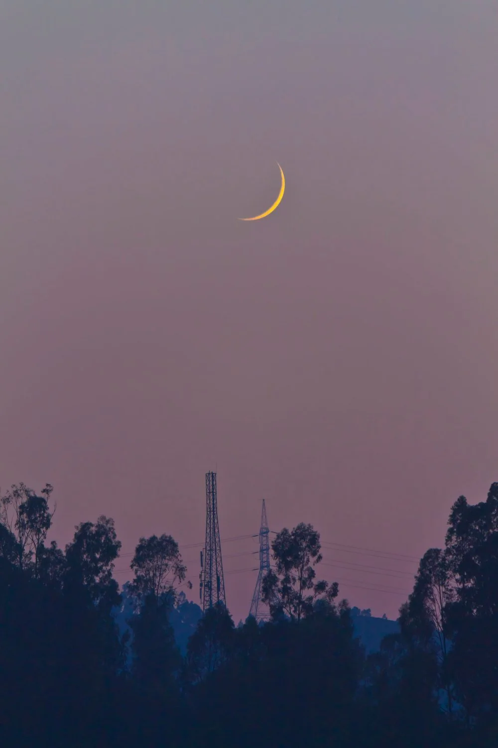 Thin crescent moon in a dusky purple sky above a treeline