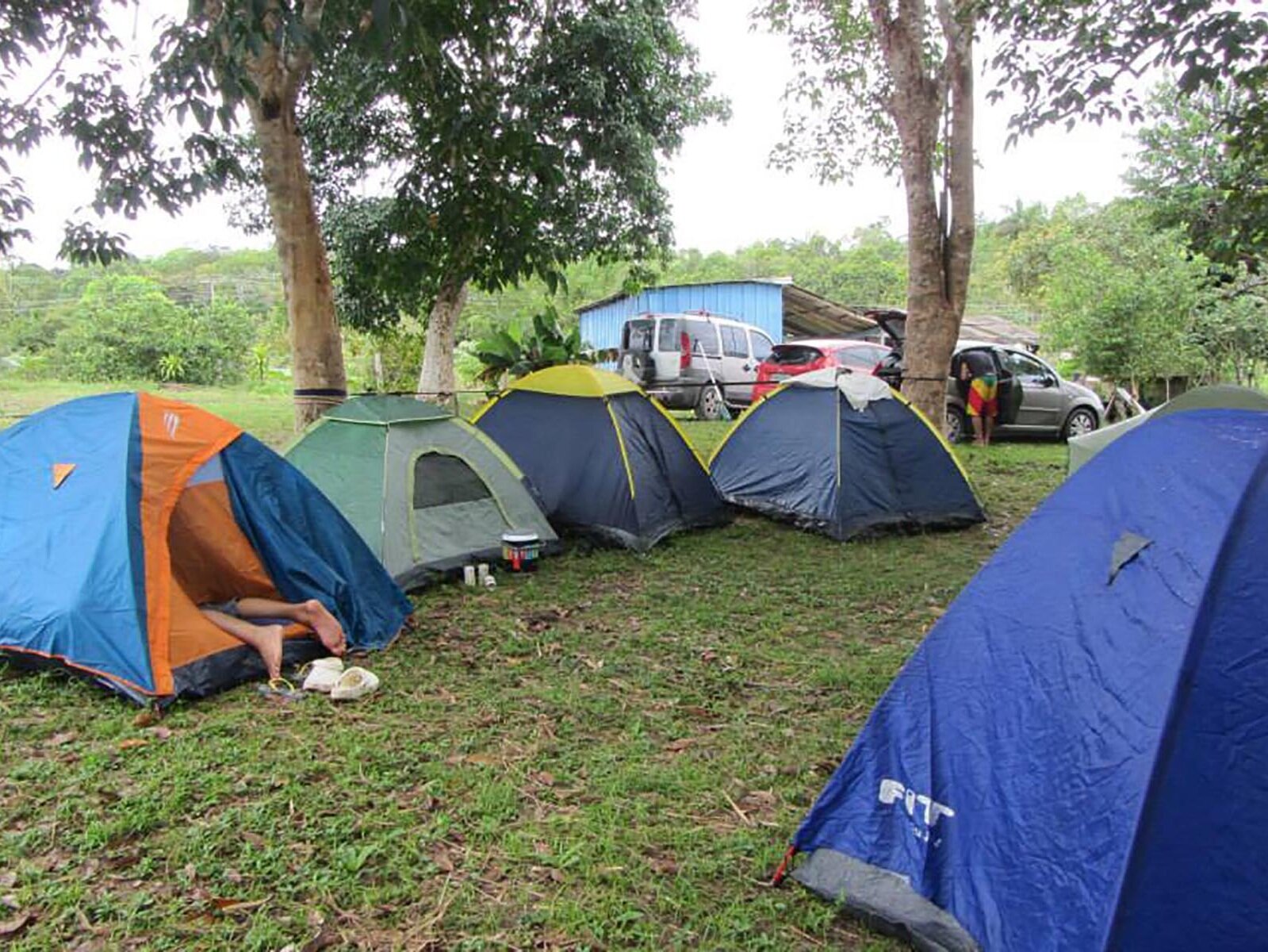 A group of friends camping together