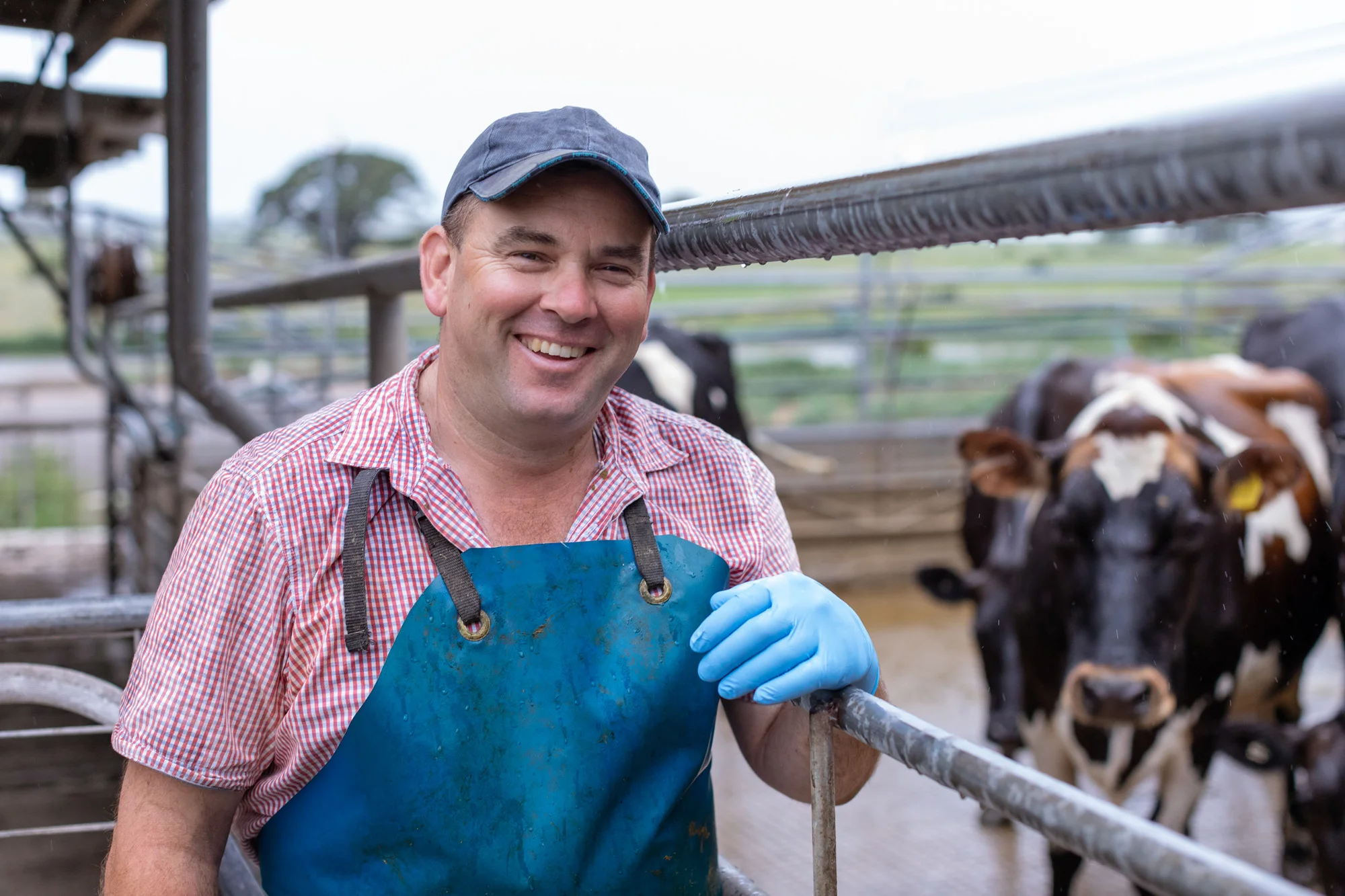 Fonterra_West_Farms_FINALS_HR-533.jpg