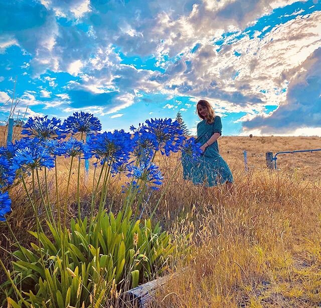 Fields of gold 📸: @junowska