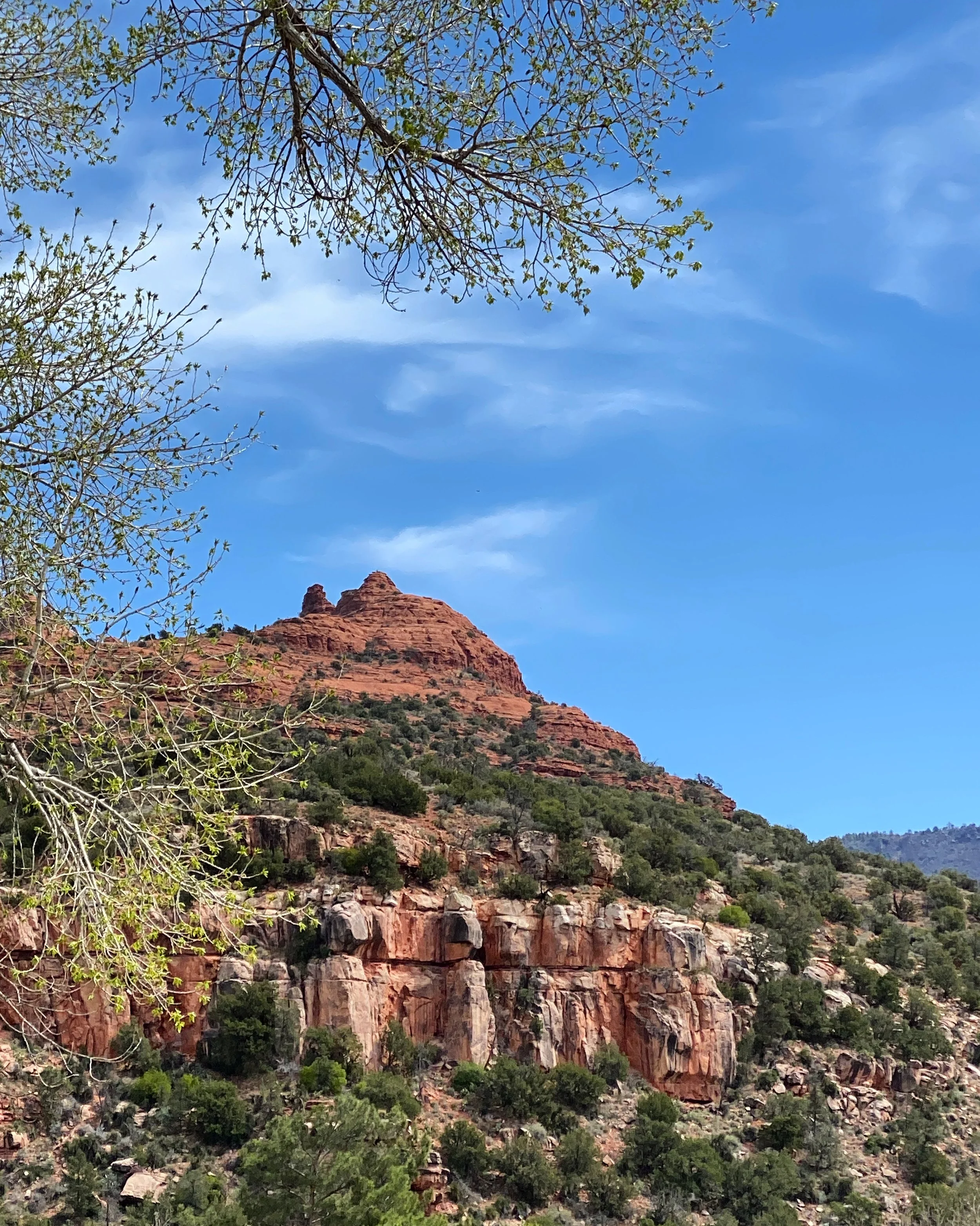 Getting out in Nature and Creativity !