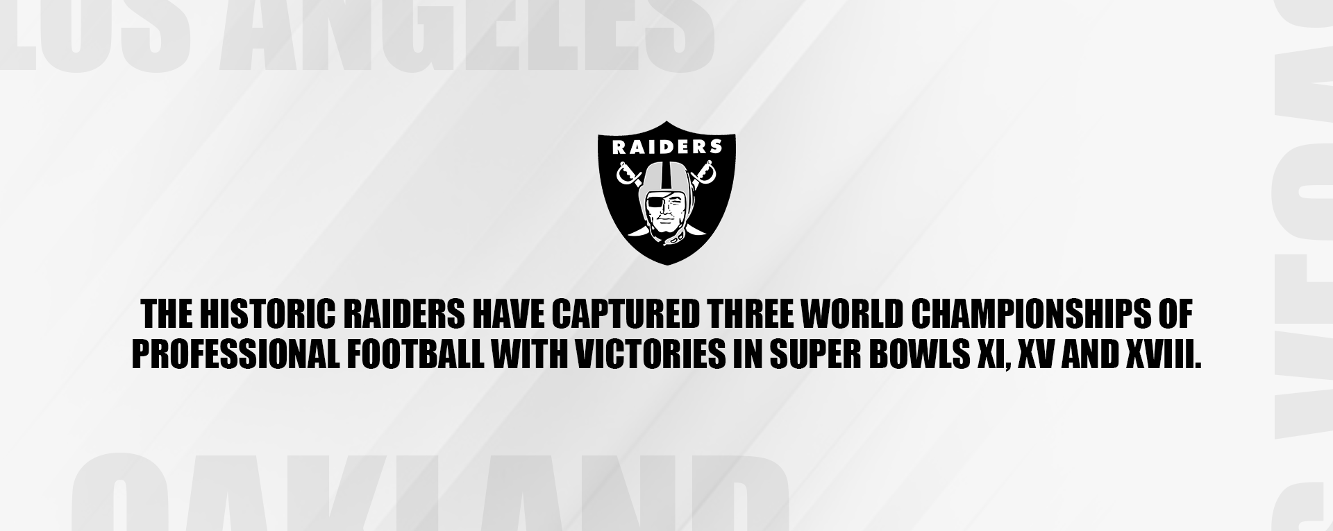 Website_Raiders_InfoSlide.png
