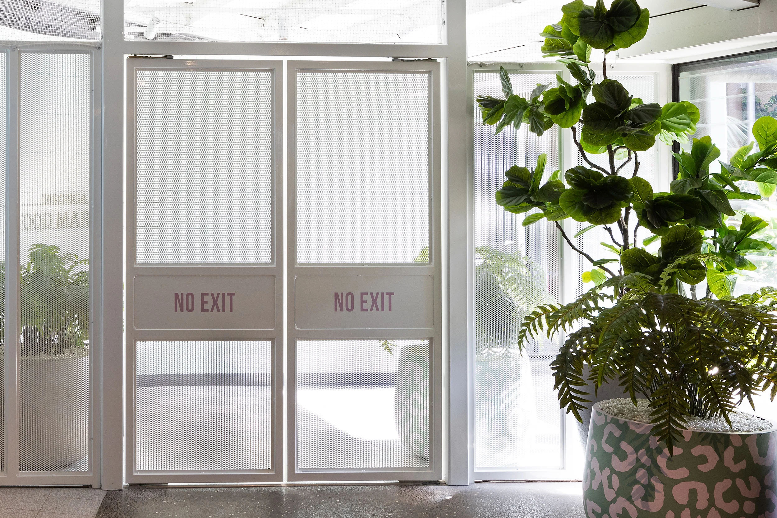 JuicyDesign-Projecthero-2500x1666-InteriorBranding-TarongaZooSydney-05.jpg