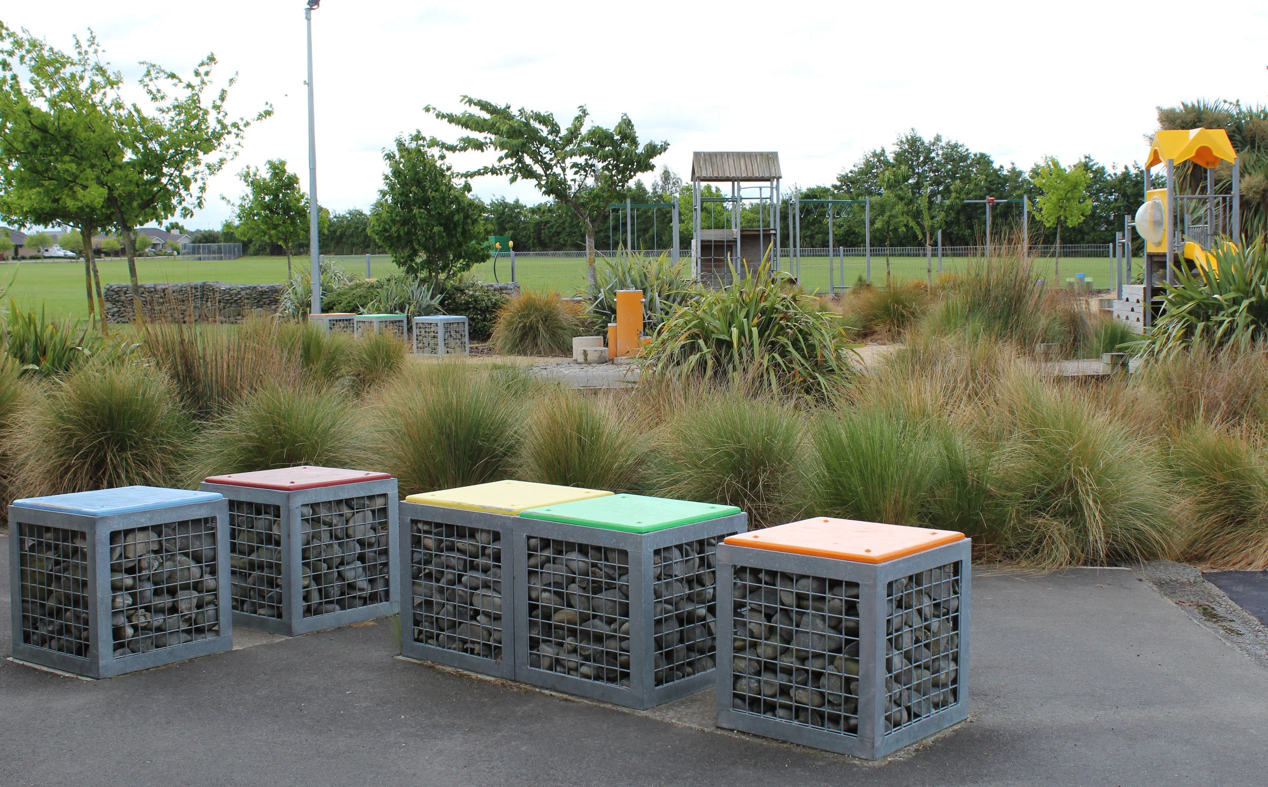 IMG_5150.jpg
