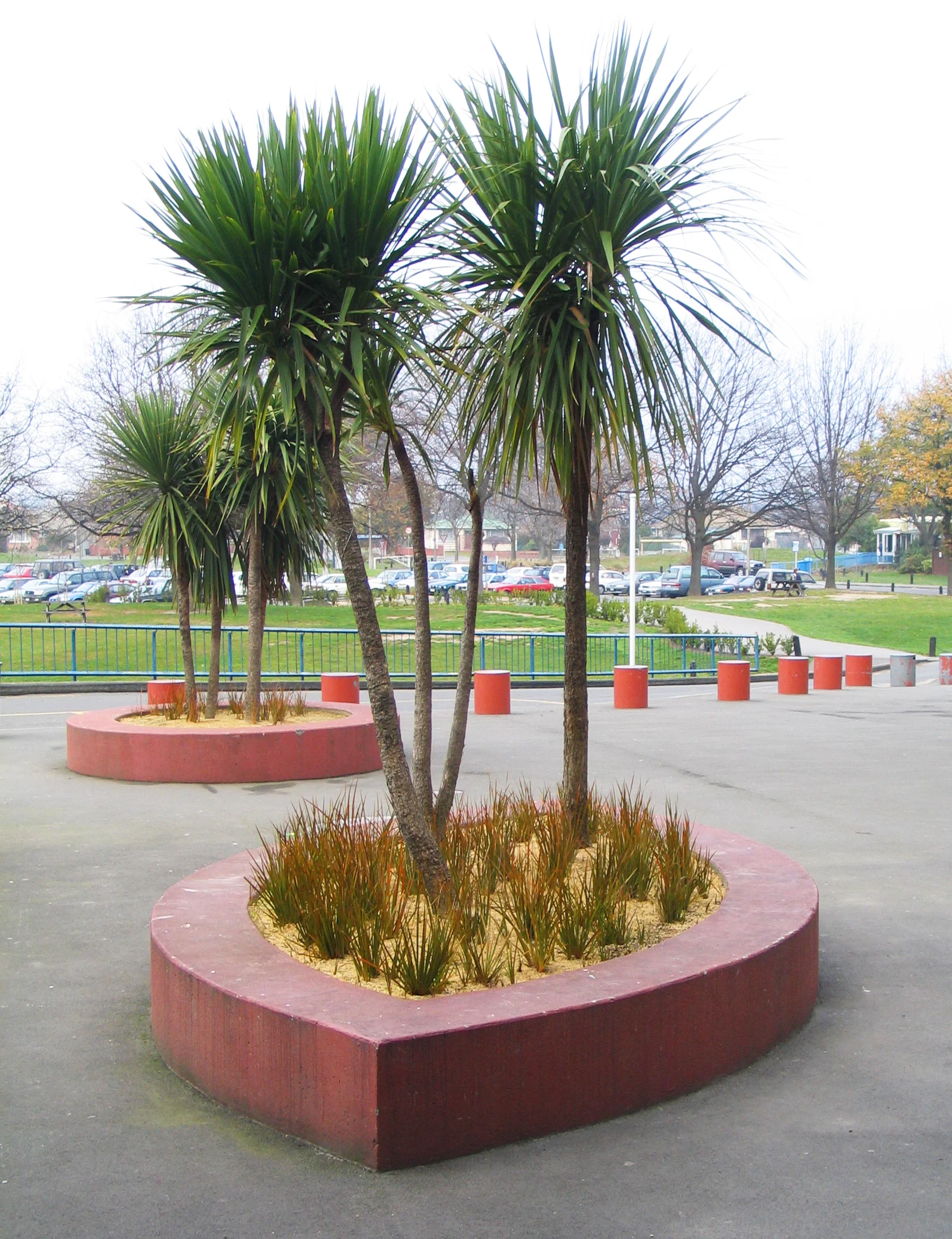 145_4504.jpg