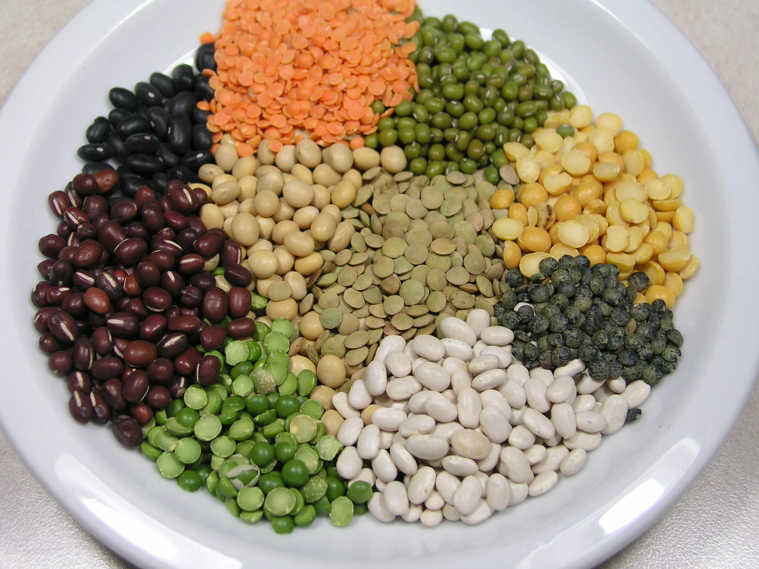 legumes 1.jpg