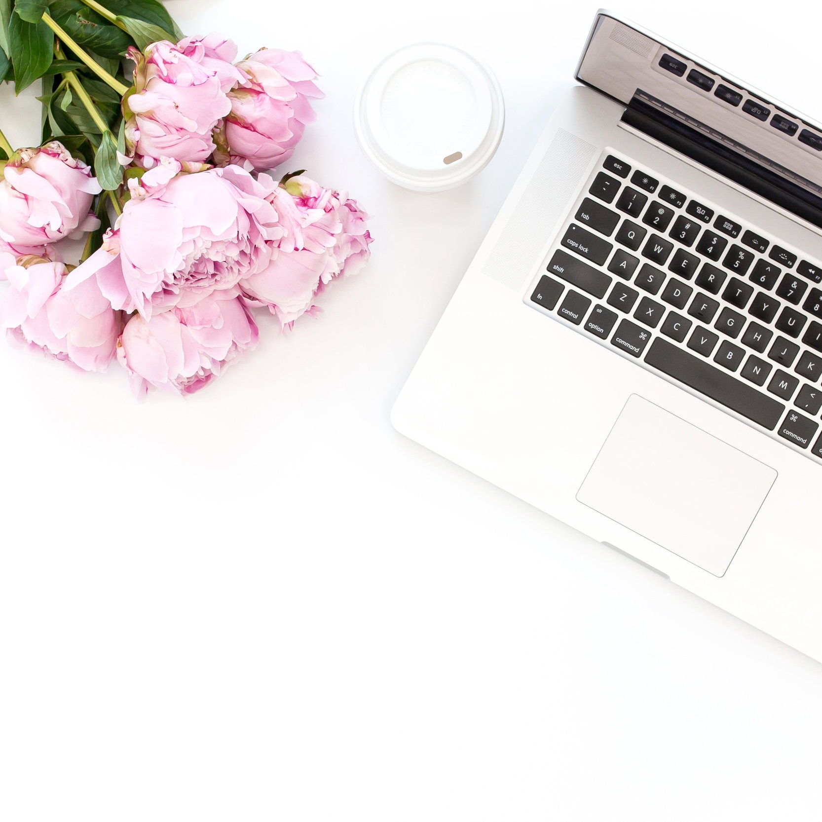 haute-stock-photography-all-the-pink-final-4.jpg