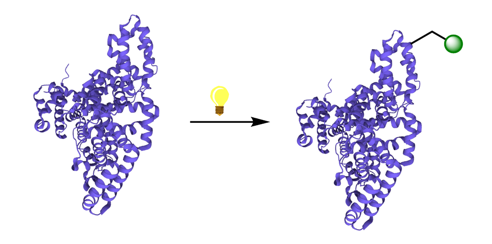Research — Diao Research Group