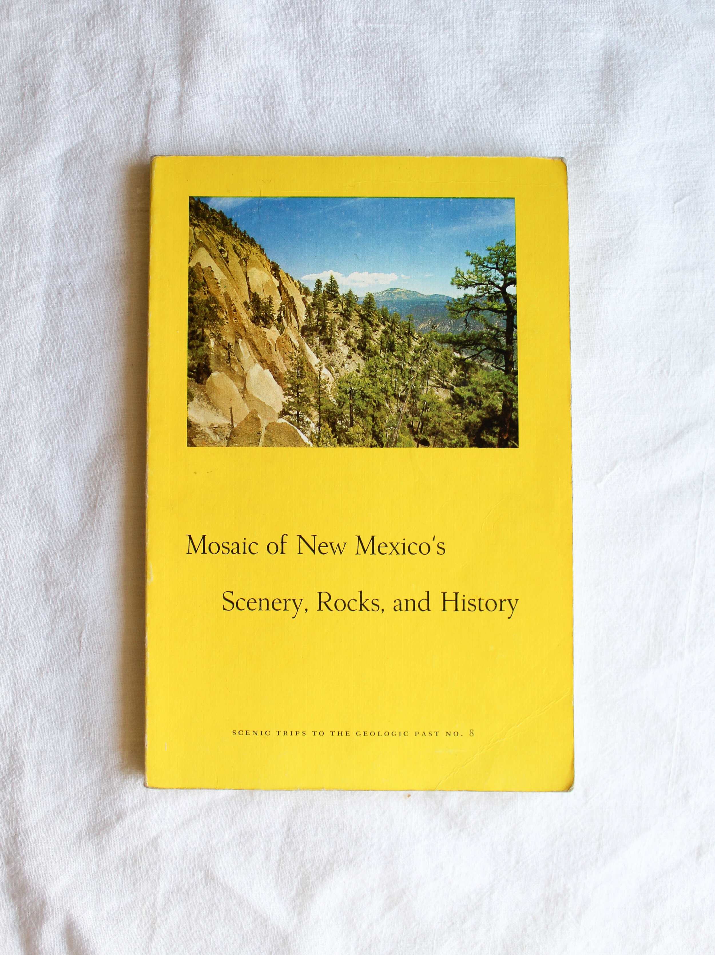 Mosaic of New Mexico's Scenery, Rocks, and History