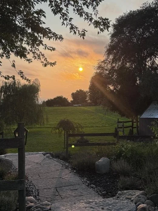 Willow entrance pretty sunset.jpg