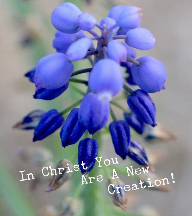 In Christ You Are A New Creation. 
It&rsquo;s time to live like it. 
Today I claim the Joy.  Join me!

No more sorrow. No more pain!!! #fillaupnow #catholicfaith #spiritfilled #spiritfilledlife #brothersandsistersofcharity #eucharist #Jesussaves #God