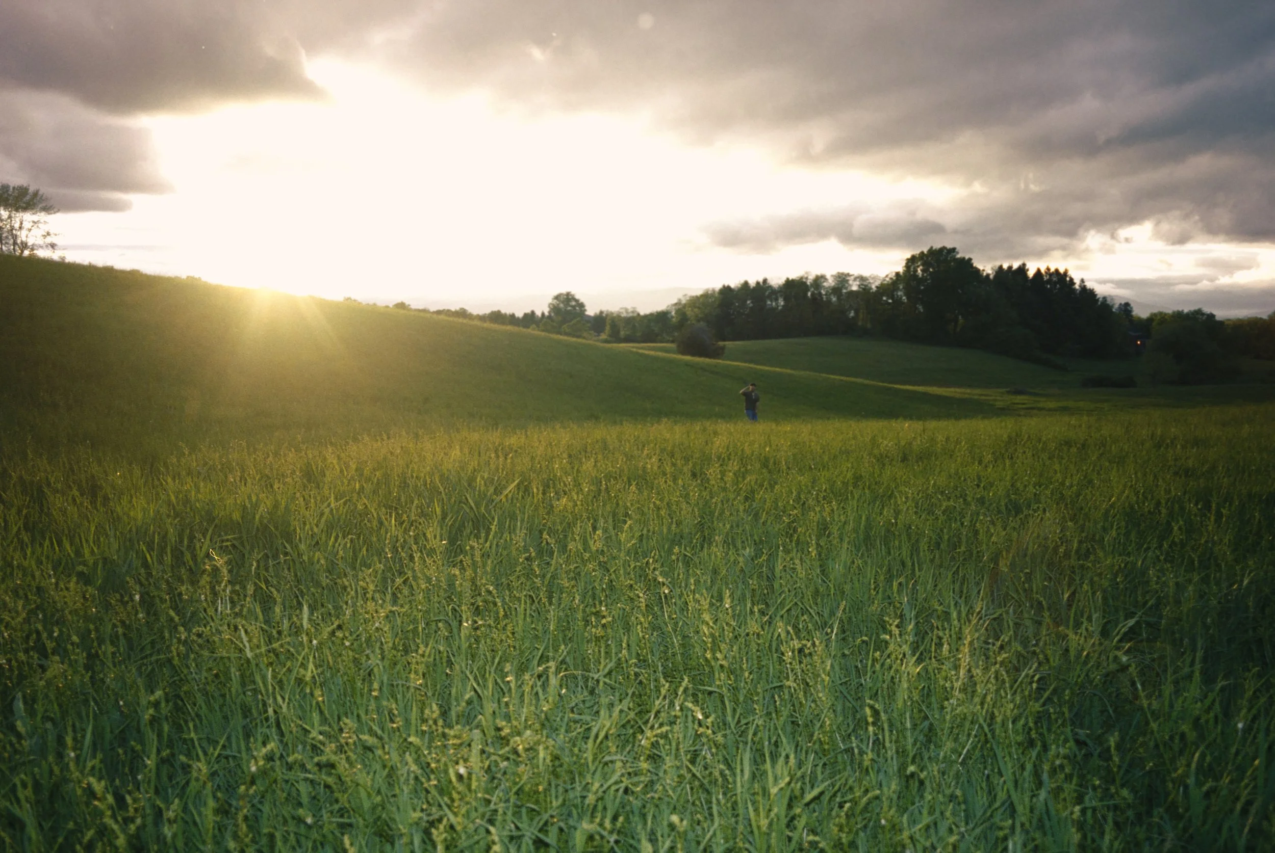 Photos in Upstate-78 copy.jpg