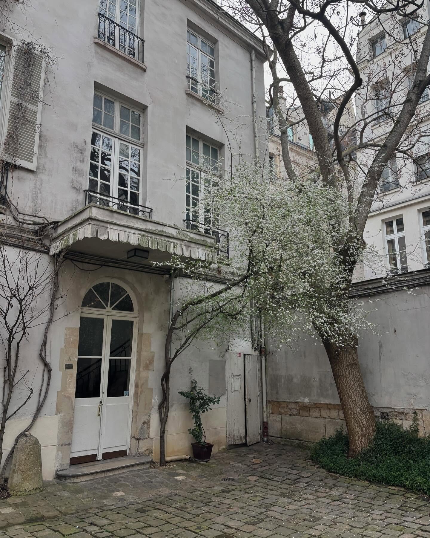 Paris day 3/4 Mus&eacute;e YSL, Paul Bert Serpette, Fabric shopping, wandering. Merci Paris you filled my cup, more on substack x