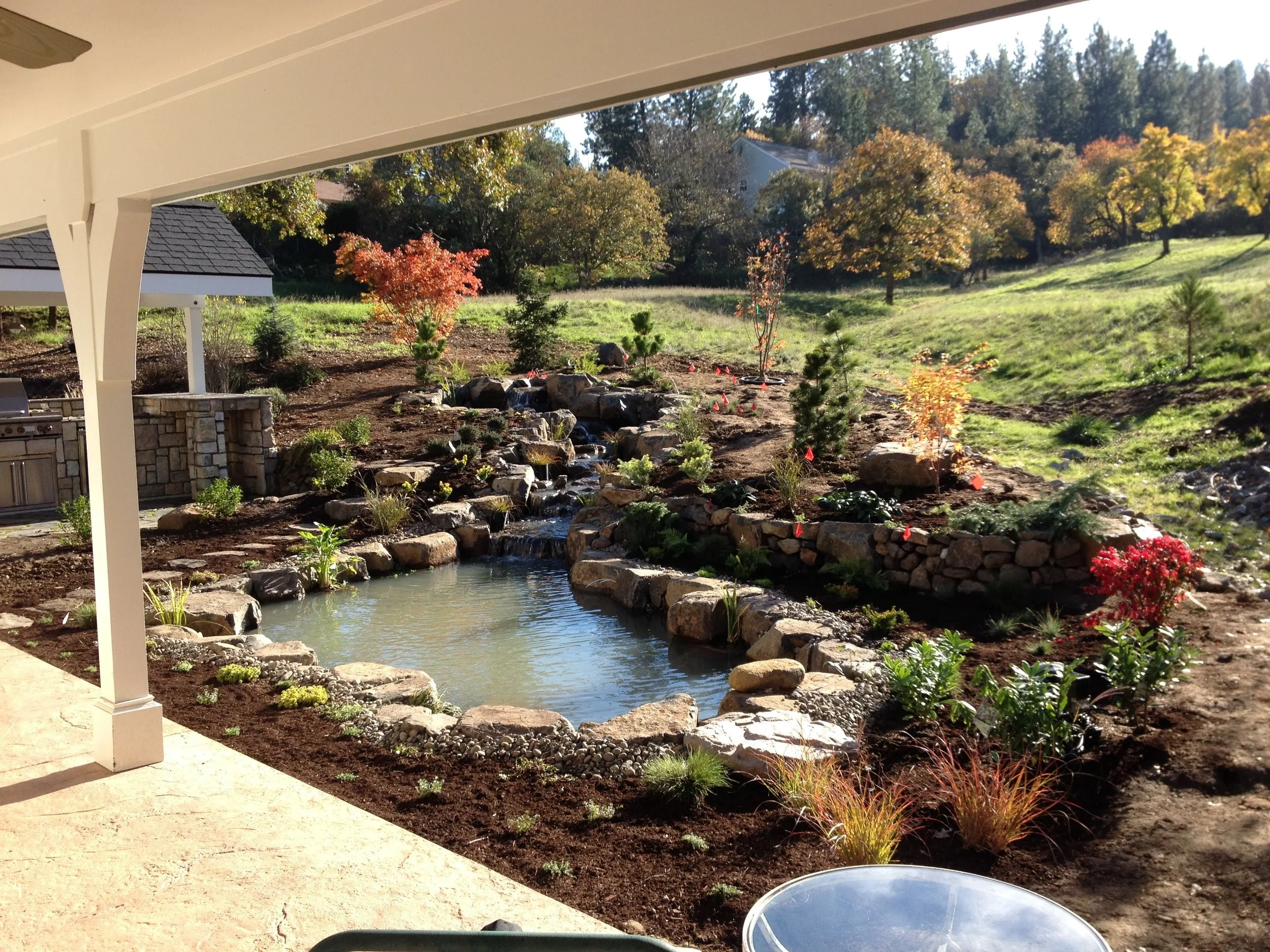 Full riparian design, planting, and irrigation around pond in Jacksonville, Oregon