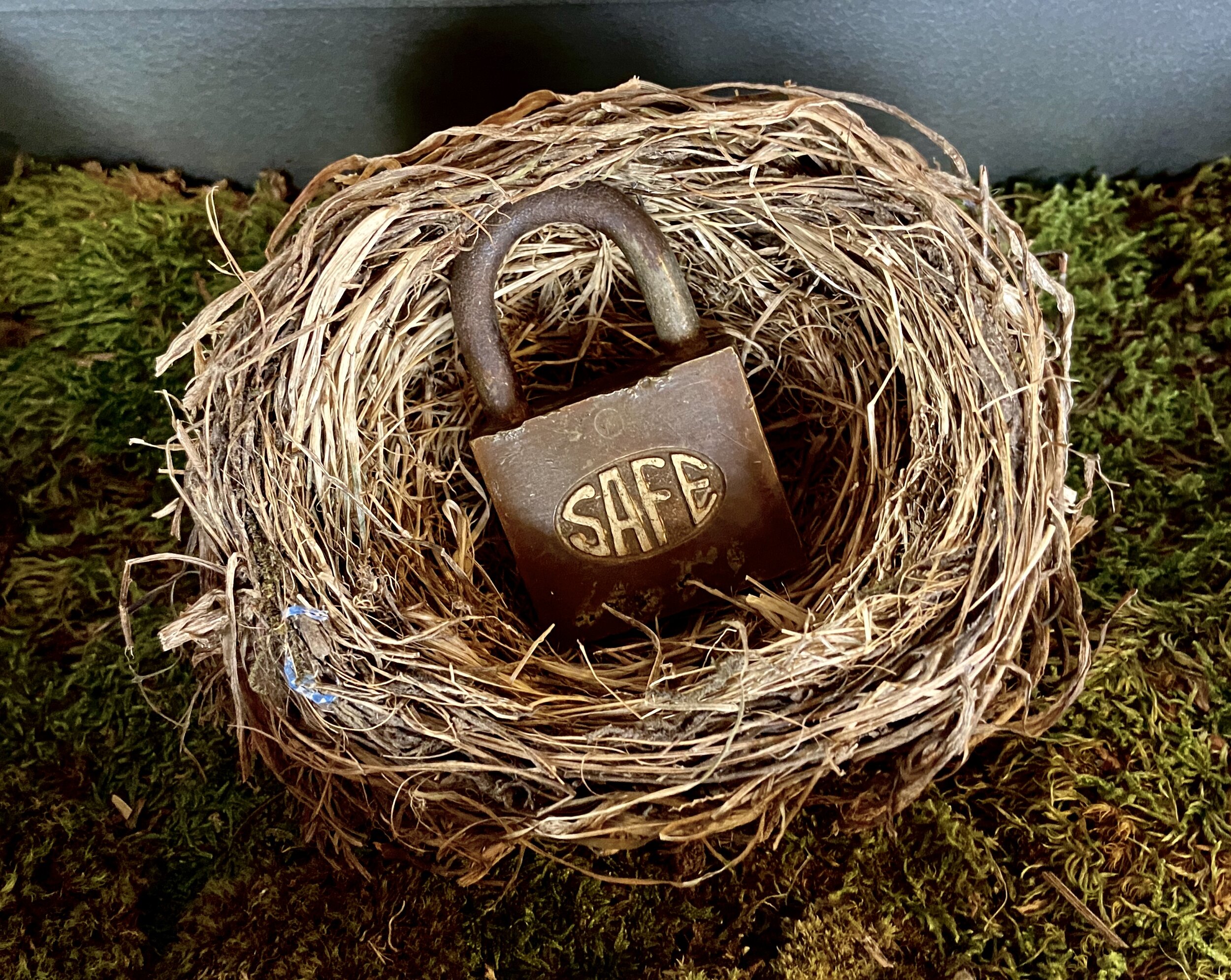 SAFE Nest Detail.jpg