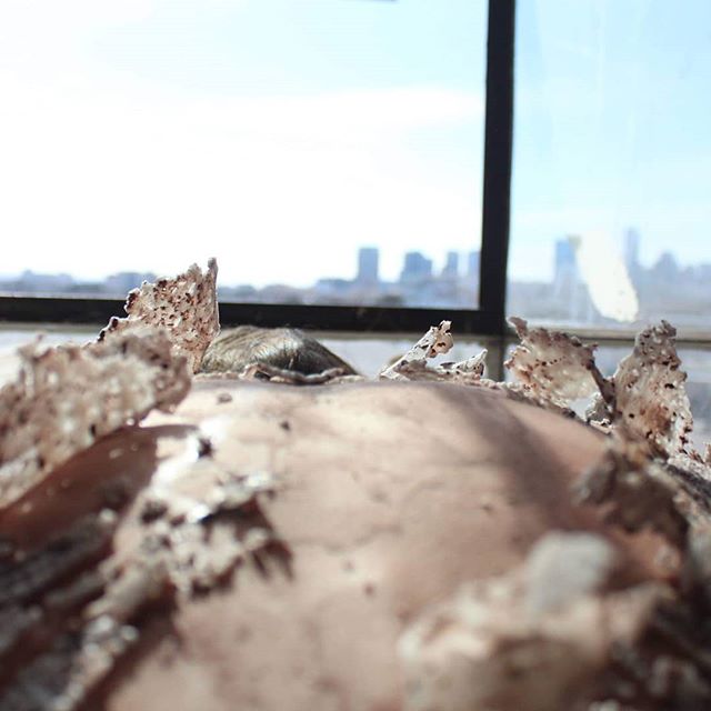 Great wax work by @pielypintura !
Tag your posts with #beaconbytes for a chance to be featured! Looking for someone to manage your visual content? Look no further my friends and fellow creators!
.
.
.
.
.
.
#art #artcurator #artist #artistfeature #starvingauthor #starvingartist #photographer #35mm #emergingart #emergingartist #encaustic #artfeature #artistfeature #artgallery #author #writer #smallbusiness #smallbusinessowner #holeinthewall #momandpop #youngprofessional #socialmedia #mediamanager