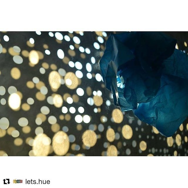 Great work by @lets.hue Tag your art with #beaconbytes to feature your work!・・・
“Projection II, 2018”
Photo print, 16” x 20” -
.
.
.
.
.
This series had made me rethink my work in a several ways. I always wanted to merge different elements of me as a designer and an artist into my artwork, that’s from where I draw inspirations for my installations. They are always a mixture of painted colorful paper sculptures against projection of light.
———
#instagram #letshue #paint #installationart #installation #colors #art #artsale #artist #abstractexpressionism @fubiz #visualart #ihavethisthingwithblue #artcollector #abstractart #artcollective #paint #creative #originalartwork #emergingartist #artcommunity #brooklynartlibrary @_abstractarts #affordableart #buyart #abstraction #beaconbytes