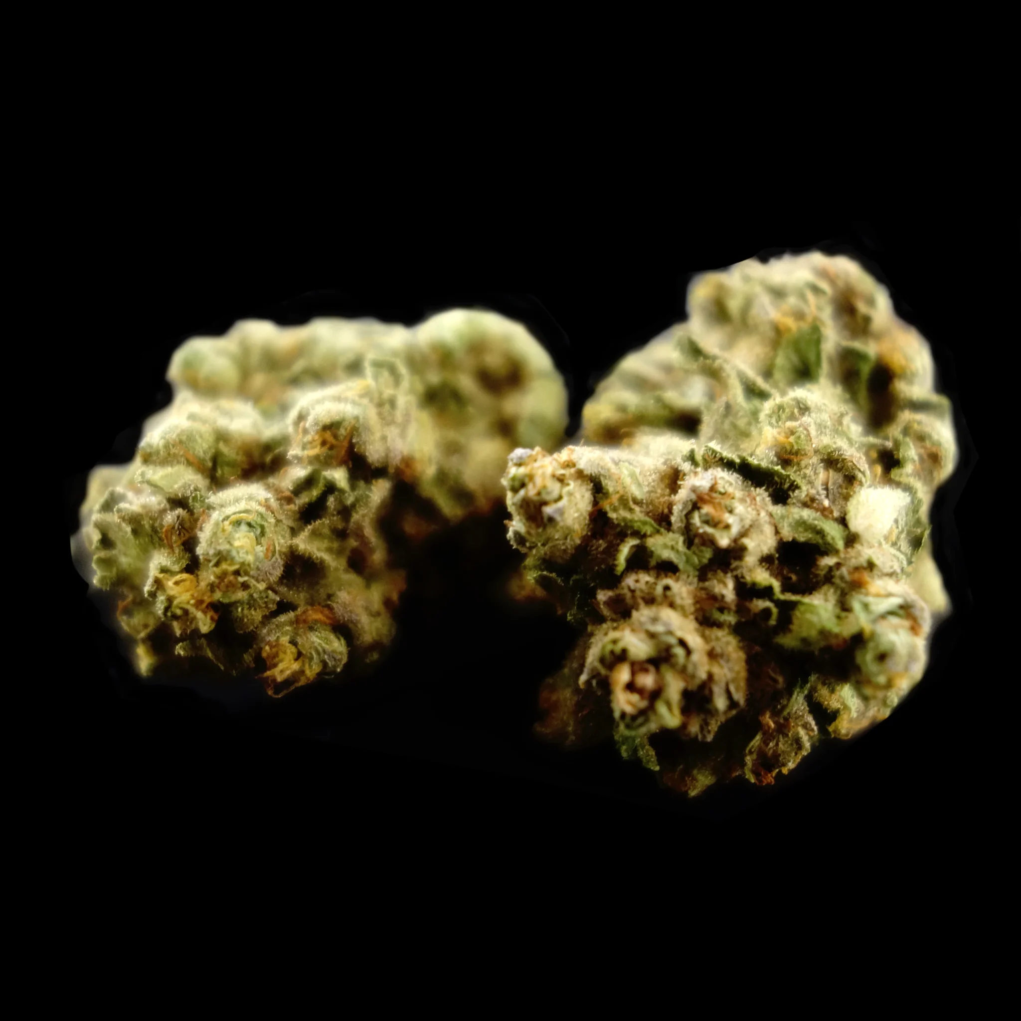 BCC_Flower_SweetLeafSourTangle.jpg