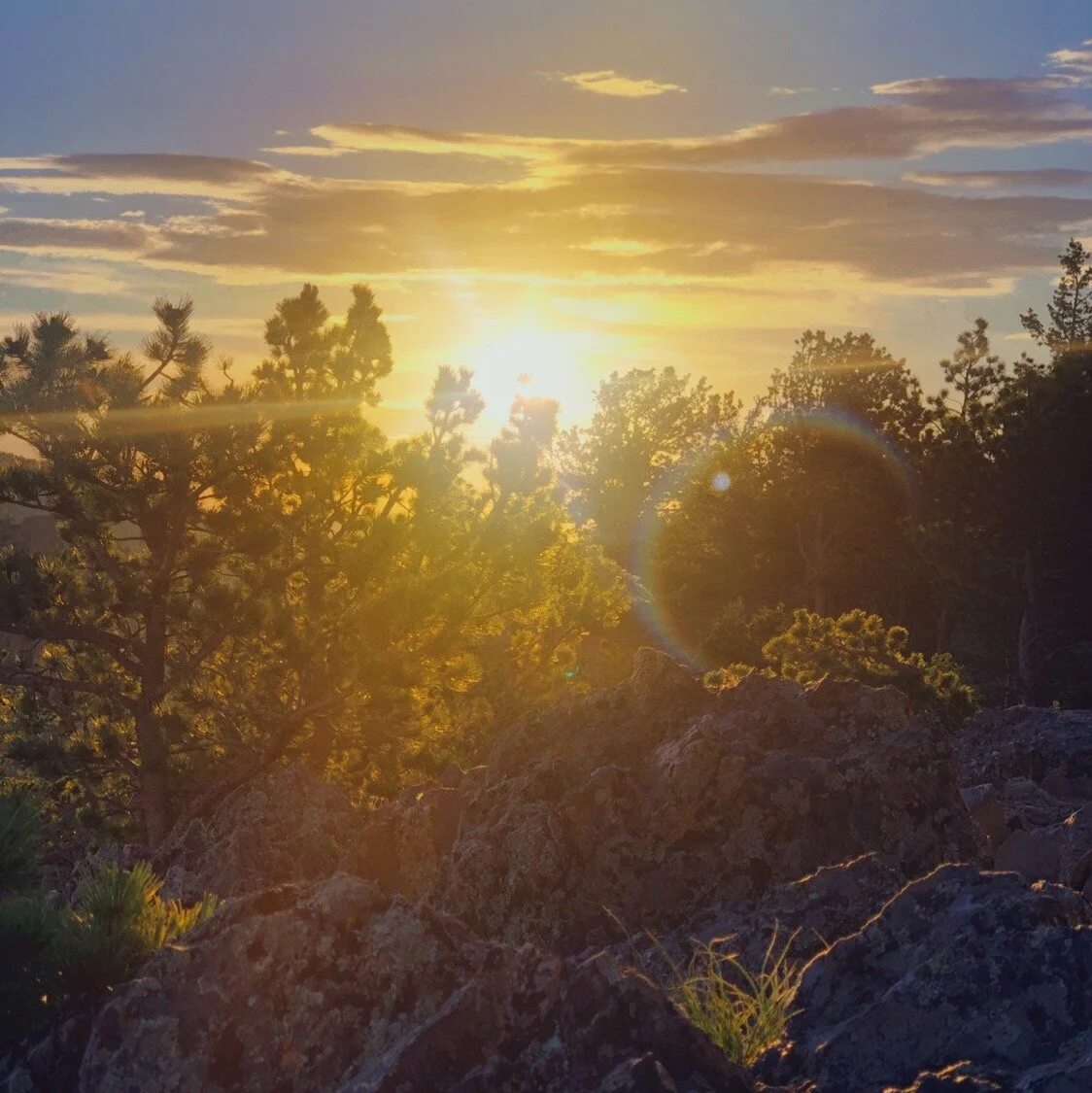 ACS_0019.JPG