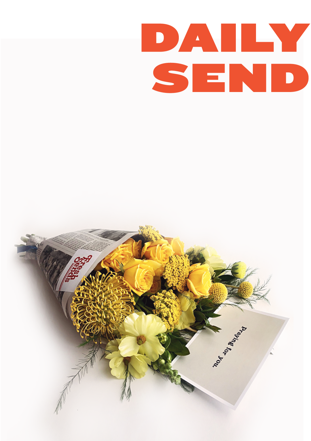 FS-site-daily.png
