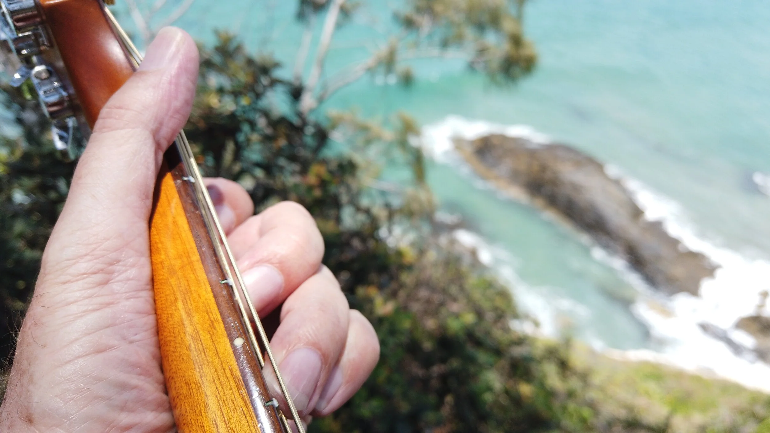 Meet the Team: Martin van Veluwen, musician