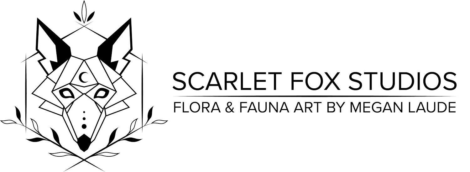 Scarlet Fox Studios