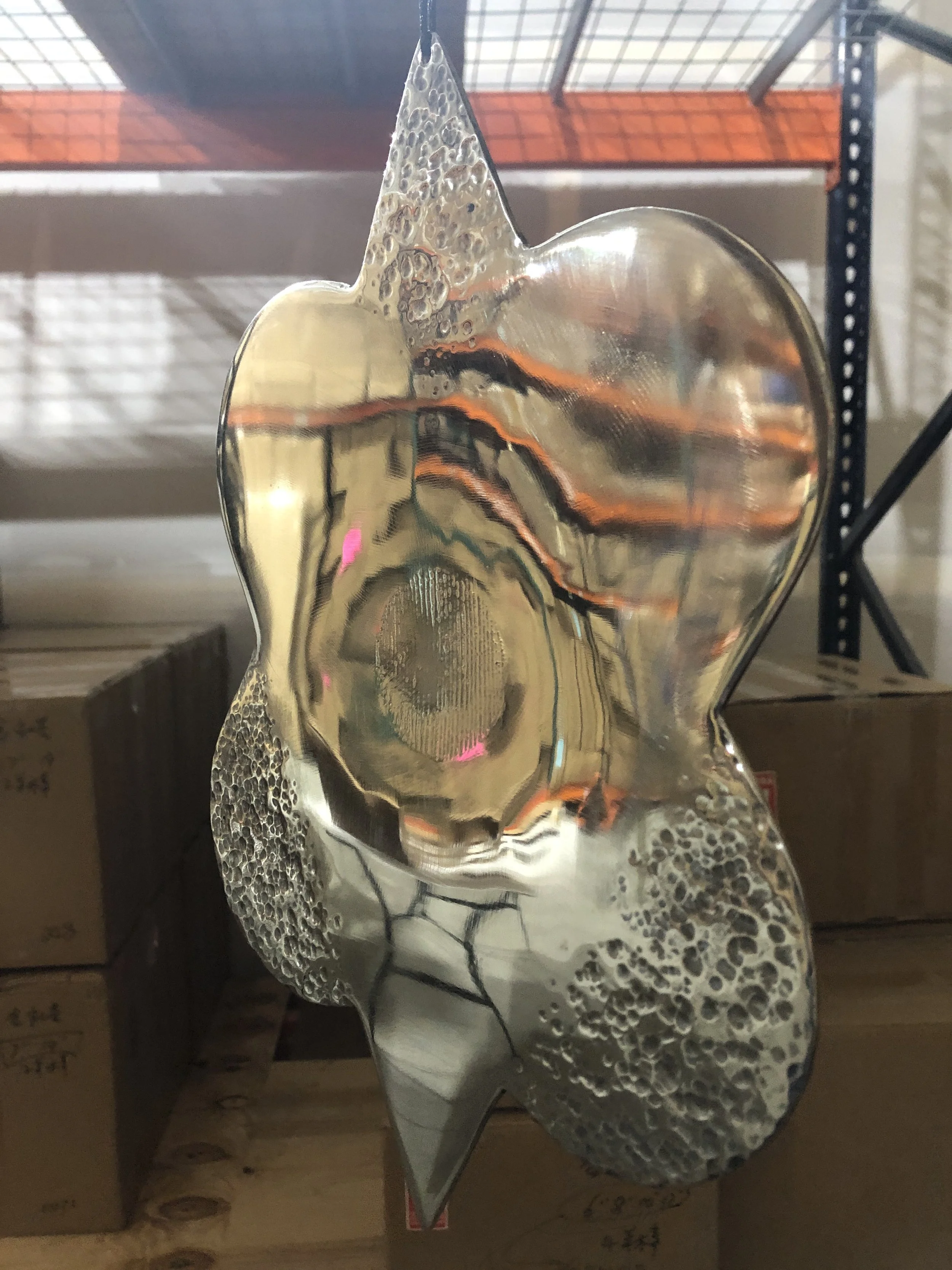 white light phots reflect.JPG