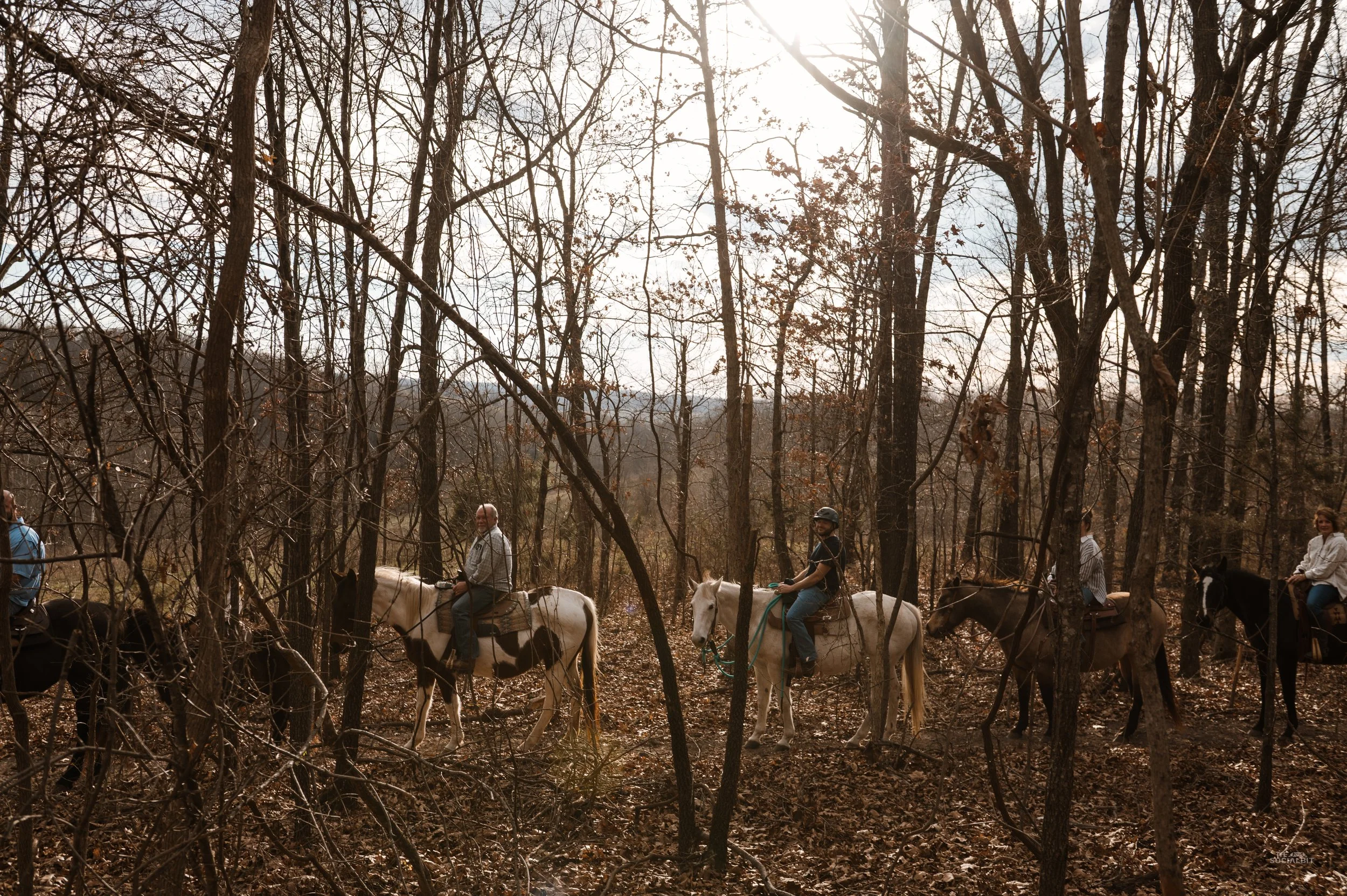 Dena Bullock Ohana Xmas25-134.jpg