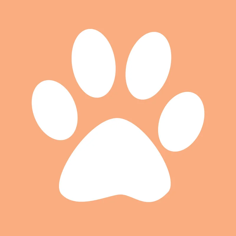 pet-img_square800.jpg