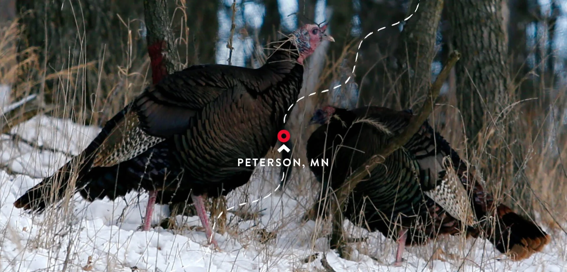 peterson-2019-calendar-03.jpg