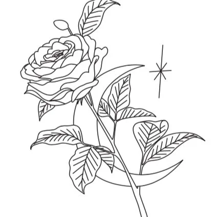 Screen+Shot+2019-06-07+at+9.45.21+am.jpg