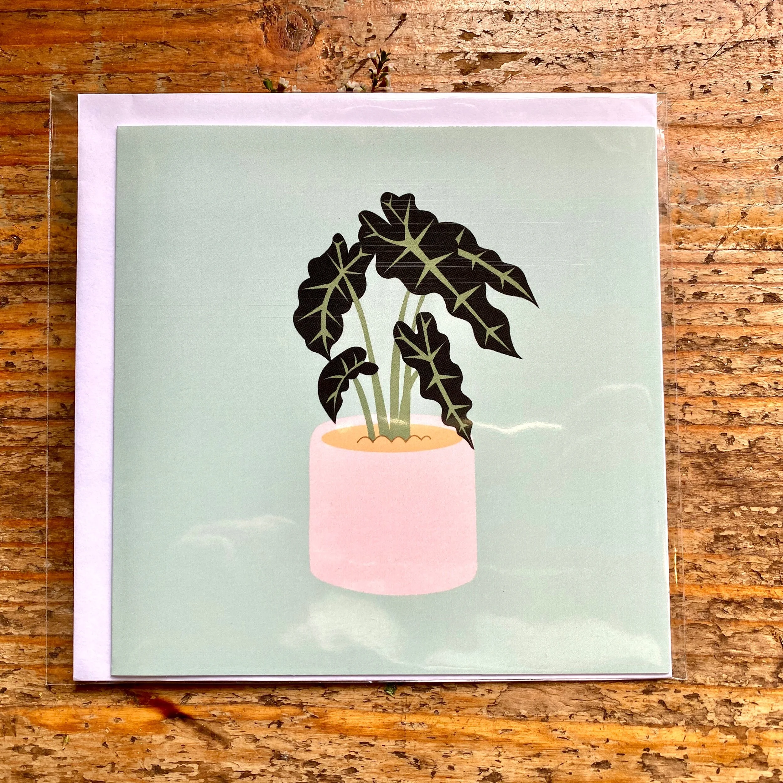 400FB3BC-372E-4F81-AA04-B50F7854EE43