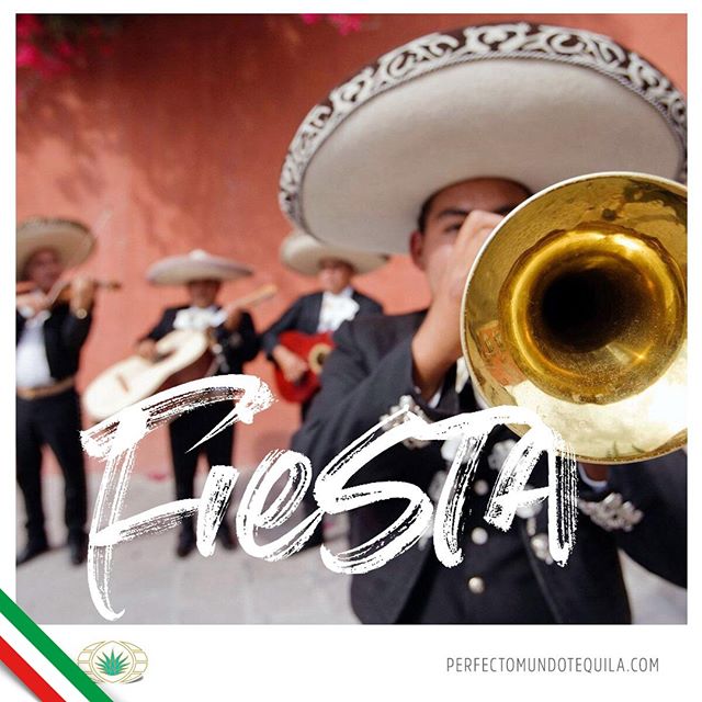 We only live once, so let's make it count and have fun!⠀
⠀
&hellip;⠀
⠀
Solo se vive una ves as&iacute; que &iexcl;Aprov&eacute;chalo y haz que cuente!⠀
⠀
#perfectomundotequila #besttequila  #lavidaperfecta #tequila #tequilatequila #brandsofmexico #me