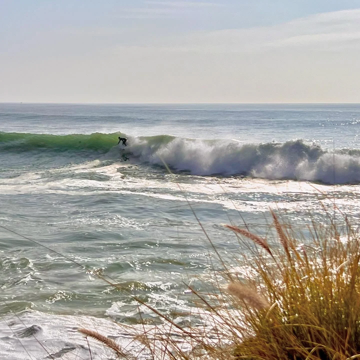 Charthouse firing #surfing #lalife #surfing #topangacanyon