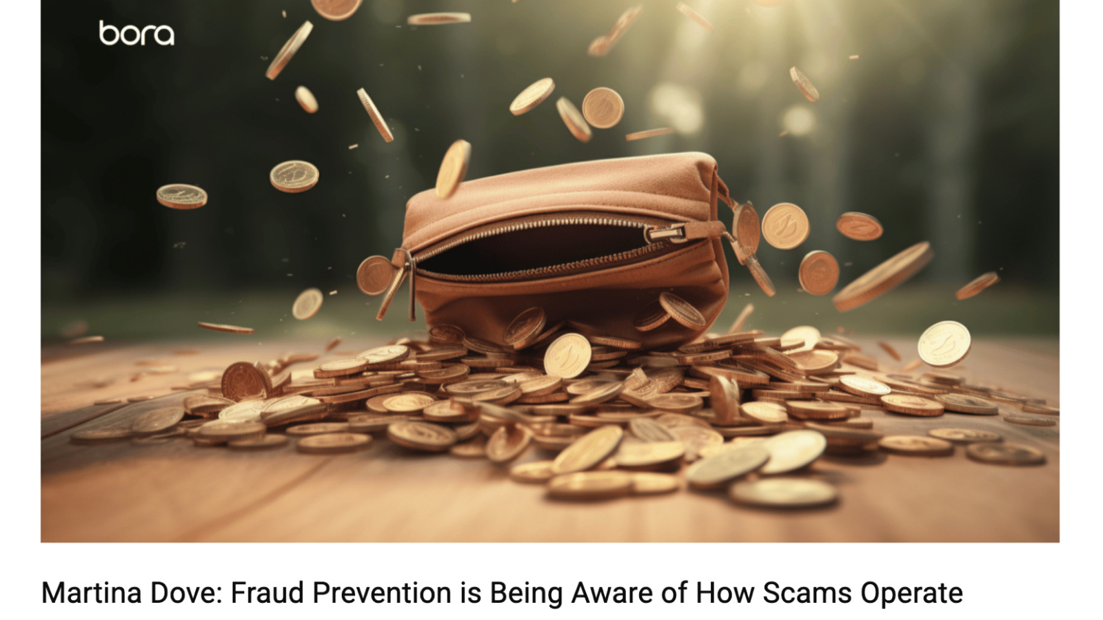 Bora Psychology Phishing & Online Scams