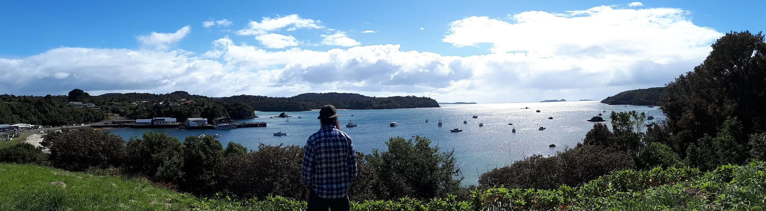 Pricing + Services — Selwyn Property Law