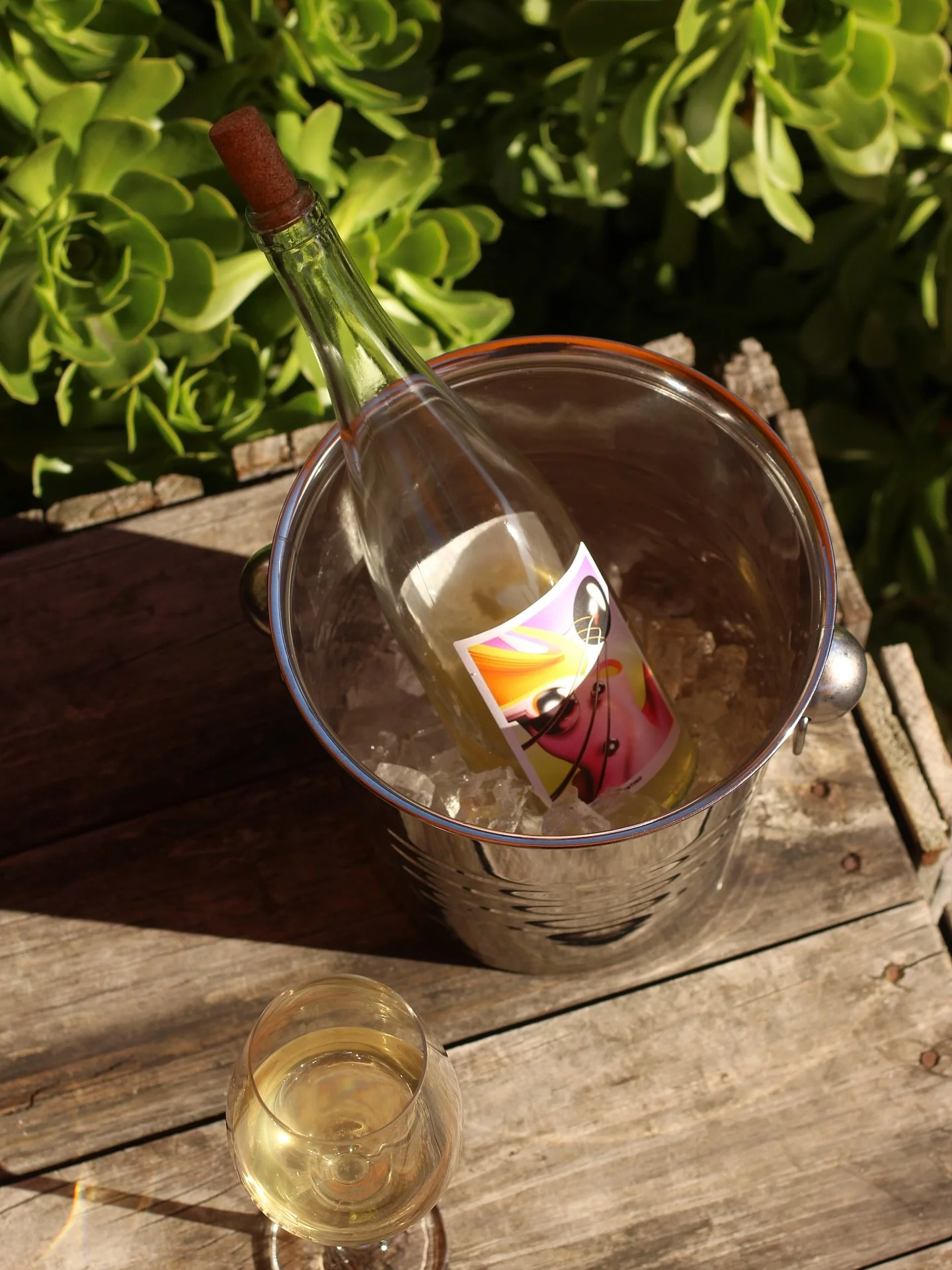 Finally! Come and get this sunshine! ☀️ Here till late tonight