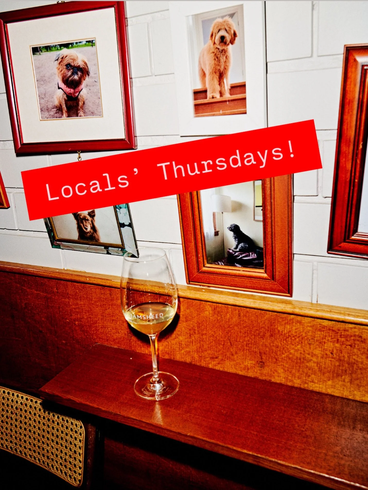 EVERY THURSDAY! $30 meals, with salad and chips, $10 wines, $8 schooners. This weeks meals 👇🏼 

Wood fired pumpkin, oyster mushrooms, curry leaf butter  GF DFO VO NF Chicken schnitzel, tonkatsu  NF Sirloin steak with your choice of sauce - mustard,