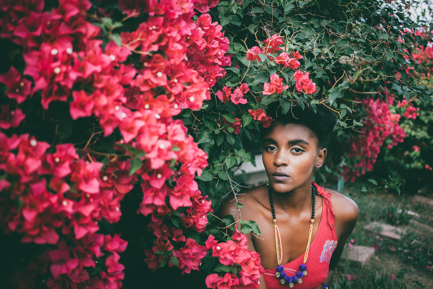 WLDFLWR Album Visuals